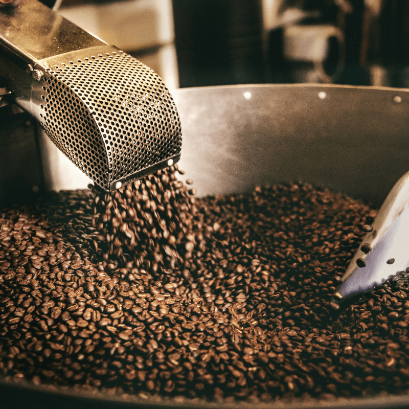 Year-Round Signatures