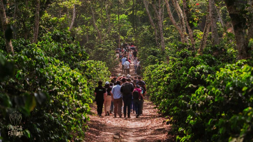 Holiday Limited Release Givette Pérez Orea Washed