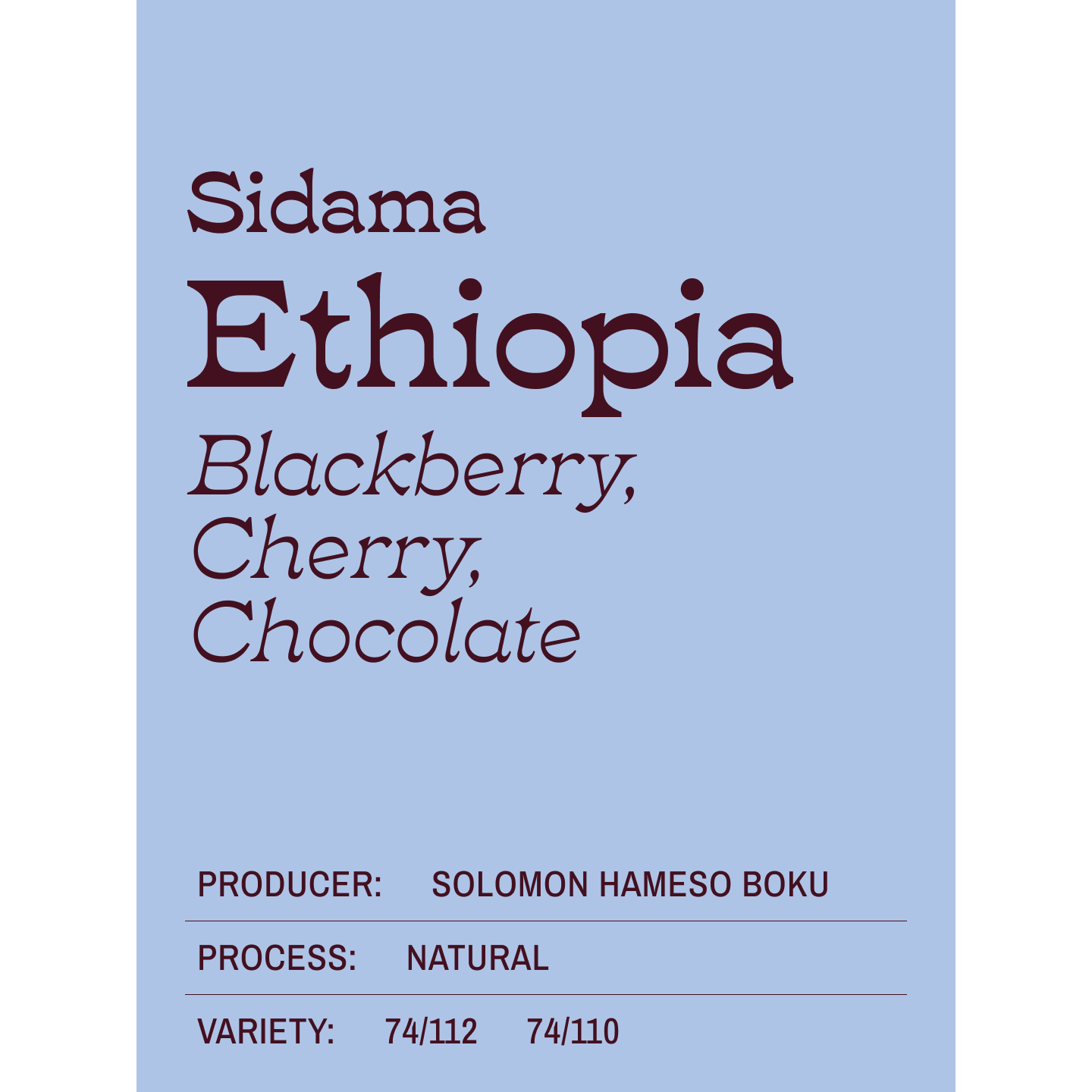 Sidama Ethiopia Natural - Light Roast